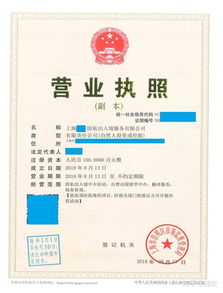上海注冊(cè)非中介留學(xué)服務(wù)公司 類別、經(jīng)營(yíng)范圍與票務(wù)代理指南